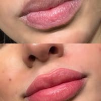 The Elegant Ink - permanent makeup work