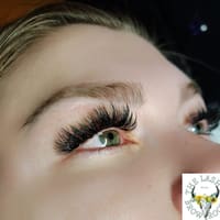 The Lash & Brow Room, LLC - permanent makeup work