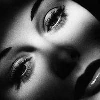 The Lash Goddess - permanent makeup work