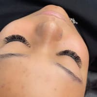 The Lashed Co. - permanent makeup work