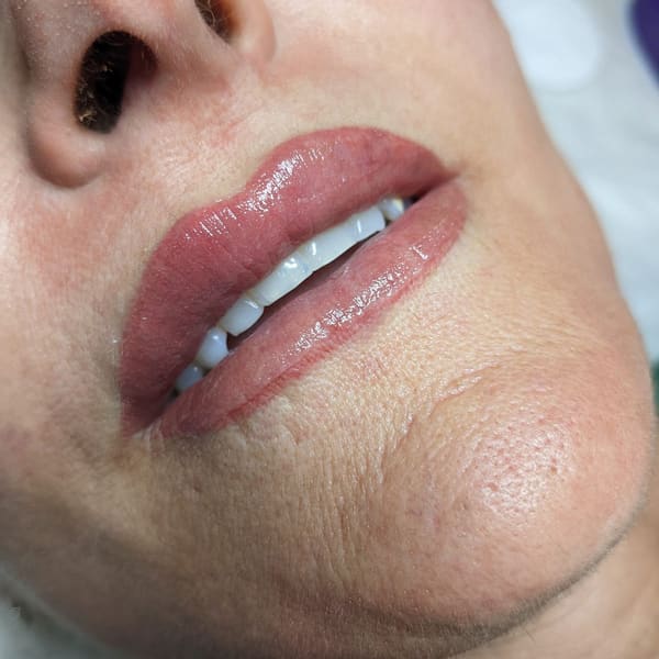 The Skin Sanctuary - permanent makeup in New Hyde Park, NY