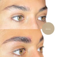 Thee Best Brows LA - permanent makeup work