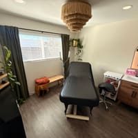 Tigerlily Skin Studio - permanent makeup work