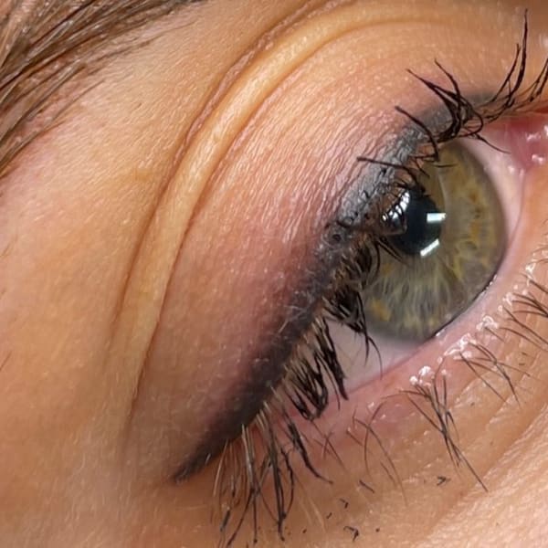 TRACY V - Permanent Makeup Studio & Academy - permanent makeup in Plano, TX