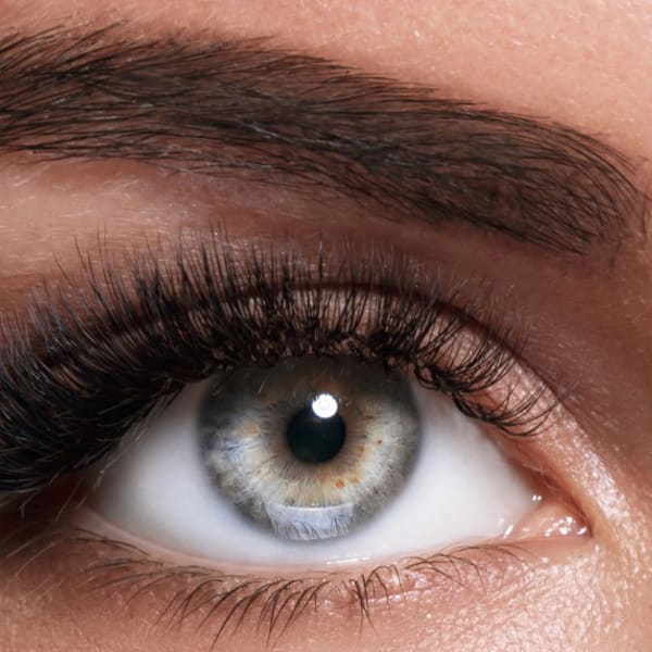 TREND BROWS - permanent makeup in Phoenix, AZ