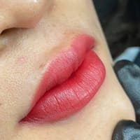 Tweety_Eyebrow_Microblading Eyebrows Lips Lawrenceville GA - permanent makeup work