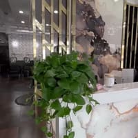Vanity Permanent Makeup Lounge - permanent makeup work