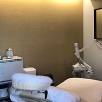 VIP Beauty & Wellness by Patricia Bain - permanent makeup work