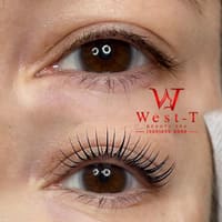 West-T Beauty Spa - permanent makeup work