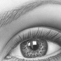 When the Brow Shapes - permanent makeup work