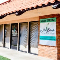 Wild Blush Premium Salon Suites - permanent makeup work