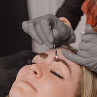 Wild Brow Artistry - permanent makeup work
