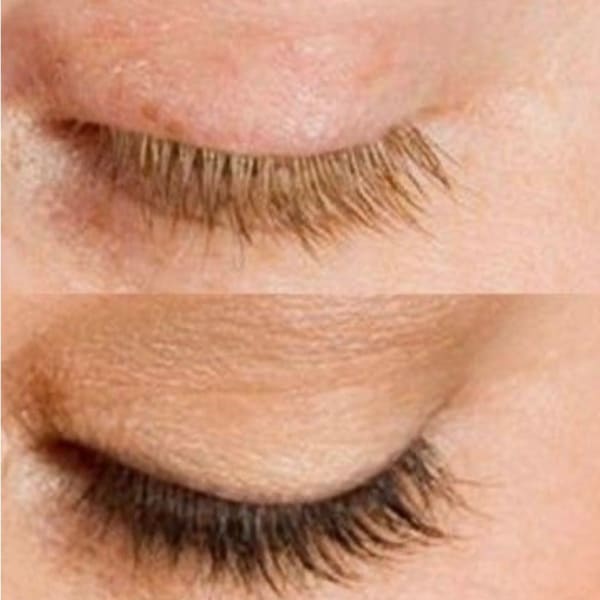 Wink Brows Pouts Tiny Tattoos & Waxing - permanent makeup in Fredericksburg, VA