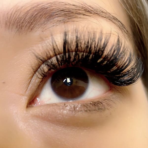 Wink & Ink Haus - permanent makeup in Missouri City, TX