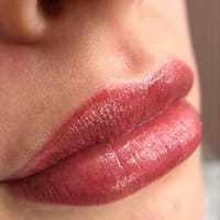 Wink & Inked - permanent makeup work