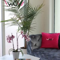 WOW LASER - Laser Hair & Tattoo Removal - permanent makeup work